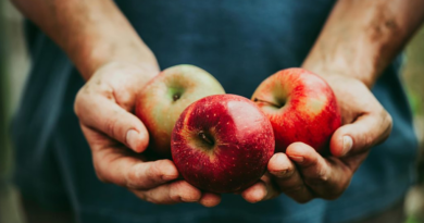 A close-up image of a man holding a bunch of fresh apples in his hand, showcasing their vibrant red color and natural shine.