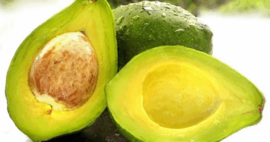 Avocado