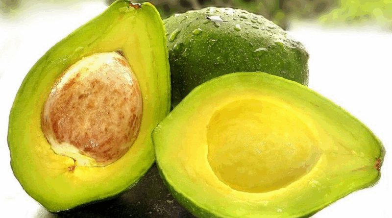 Avocado