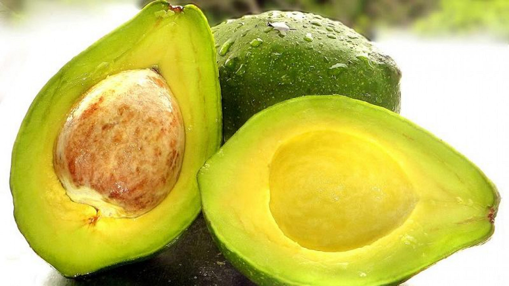 Avocado